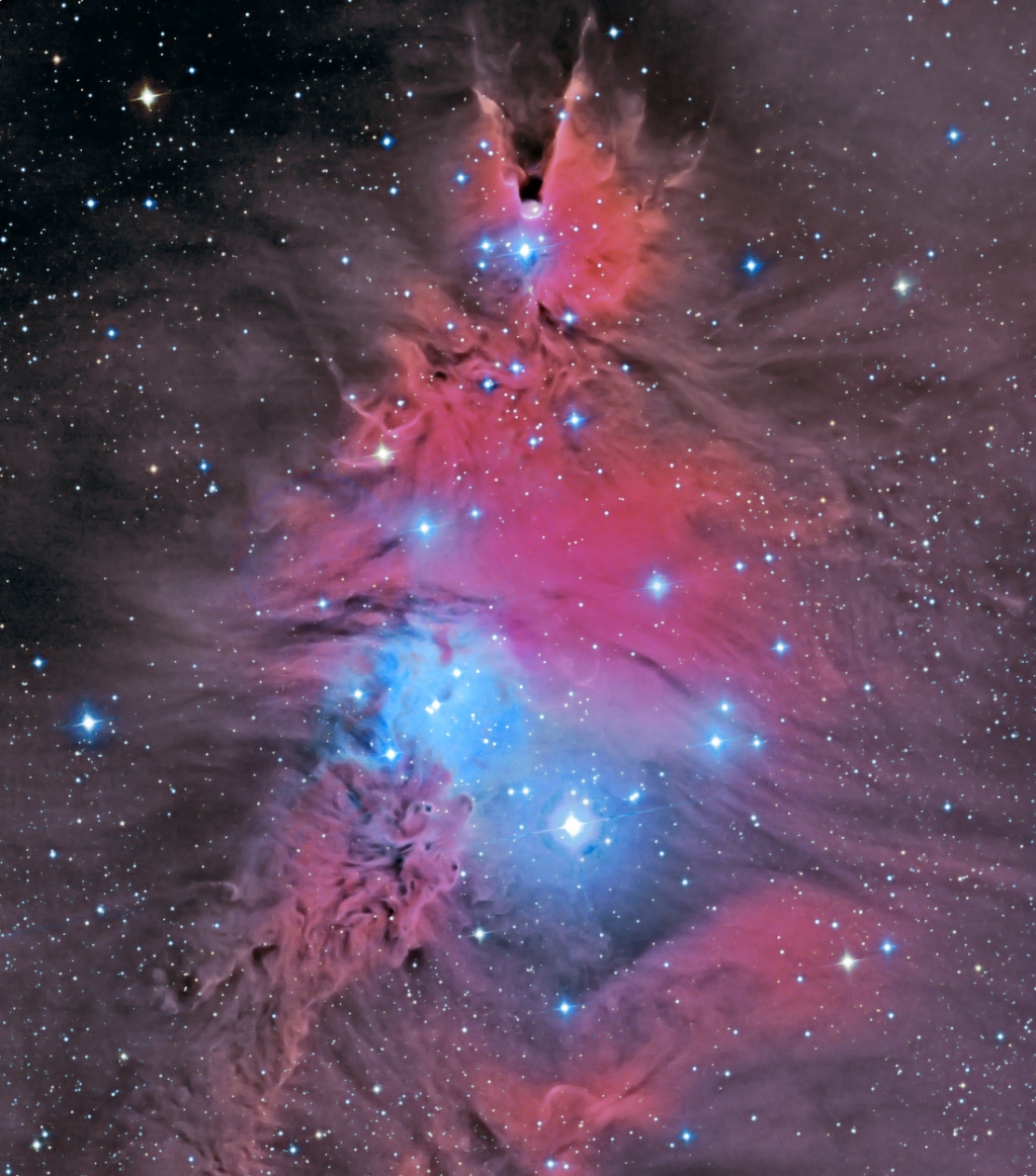 In the Vicinity of the Cone Nebula