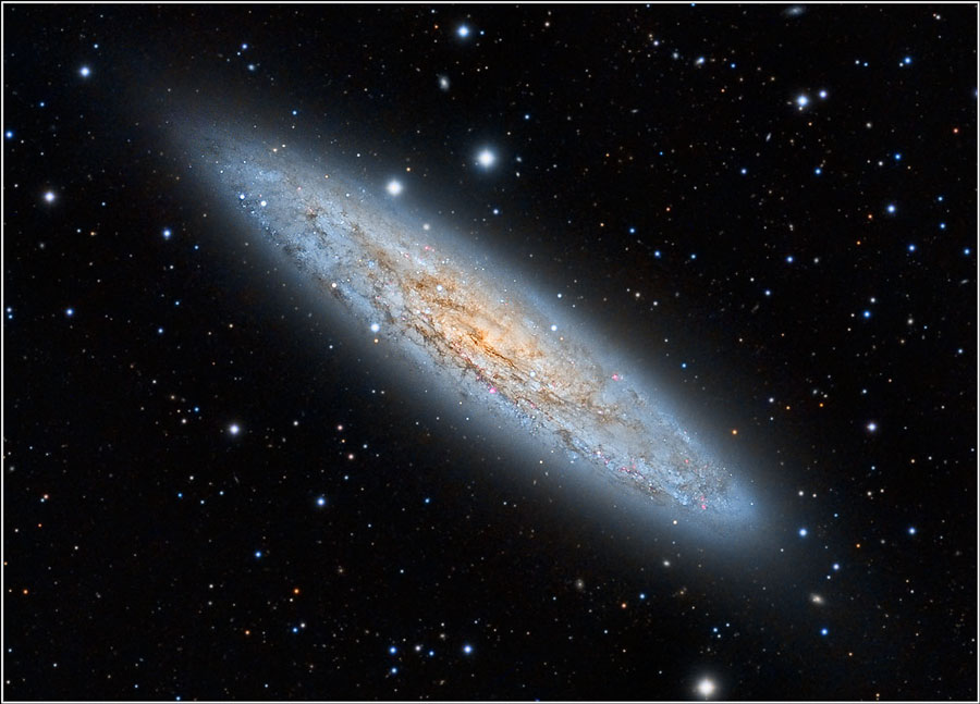 NGC 253: The Sculptor Galaxy