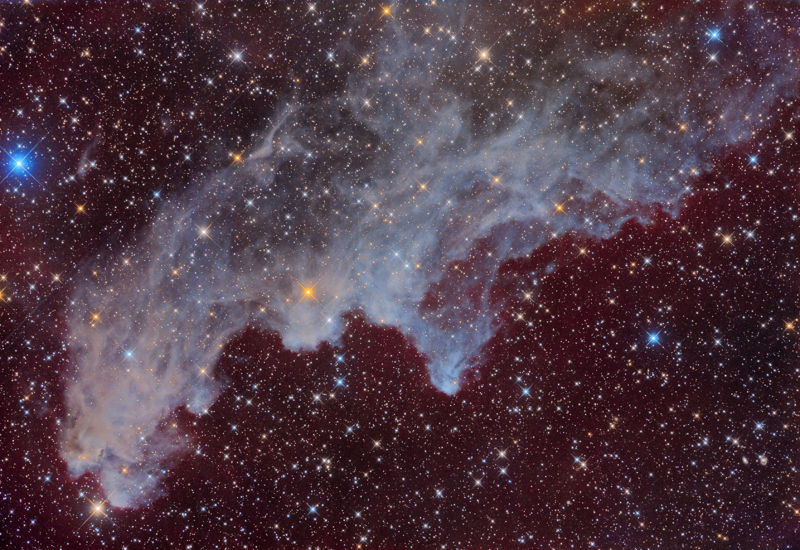 IC 2118: The Witch Head Nebula