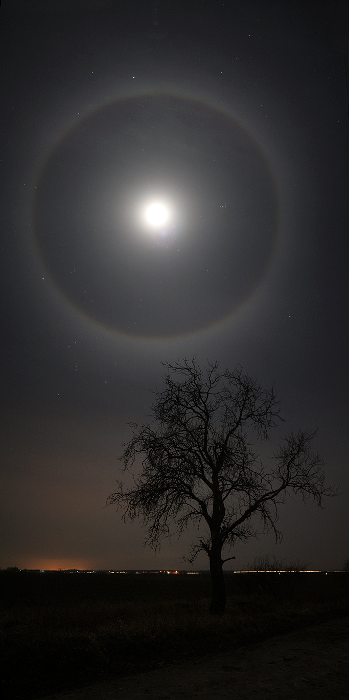 A February Moon's Halo