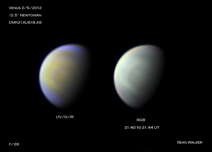 Multicolor Venus