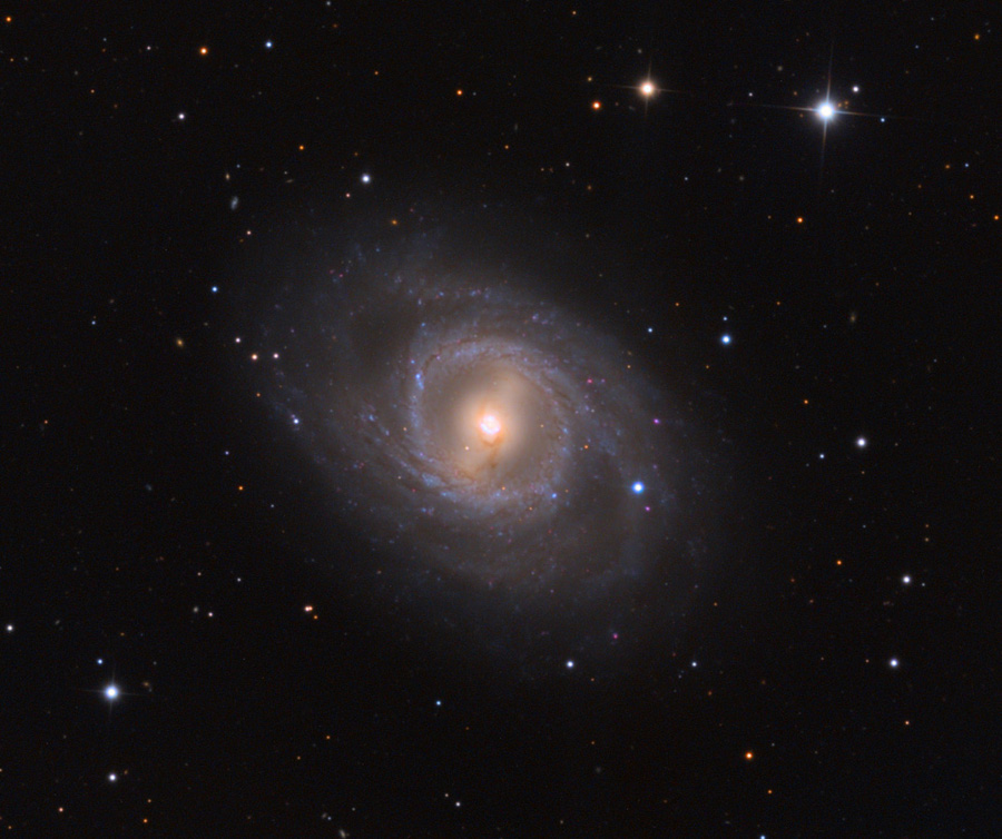 M95 with Supernova