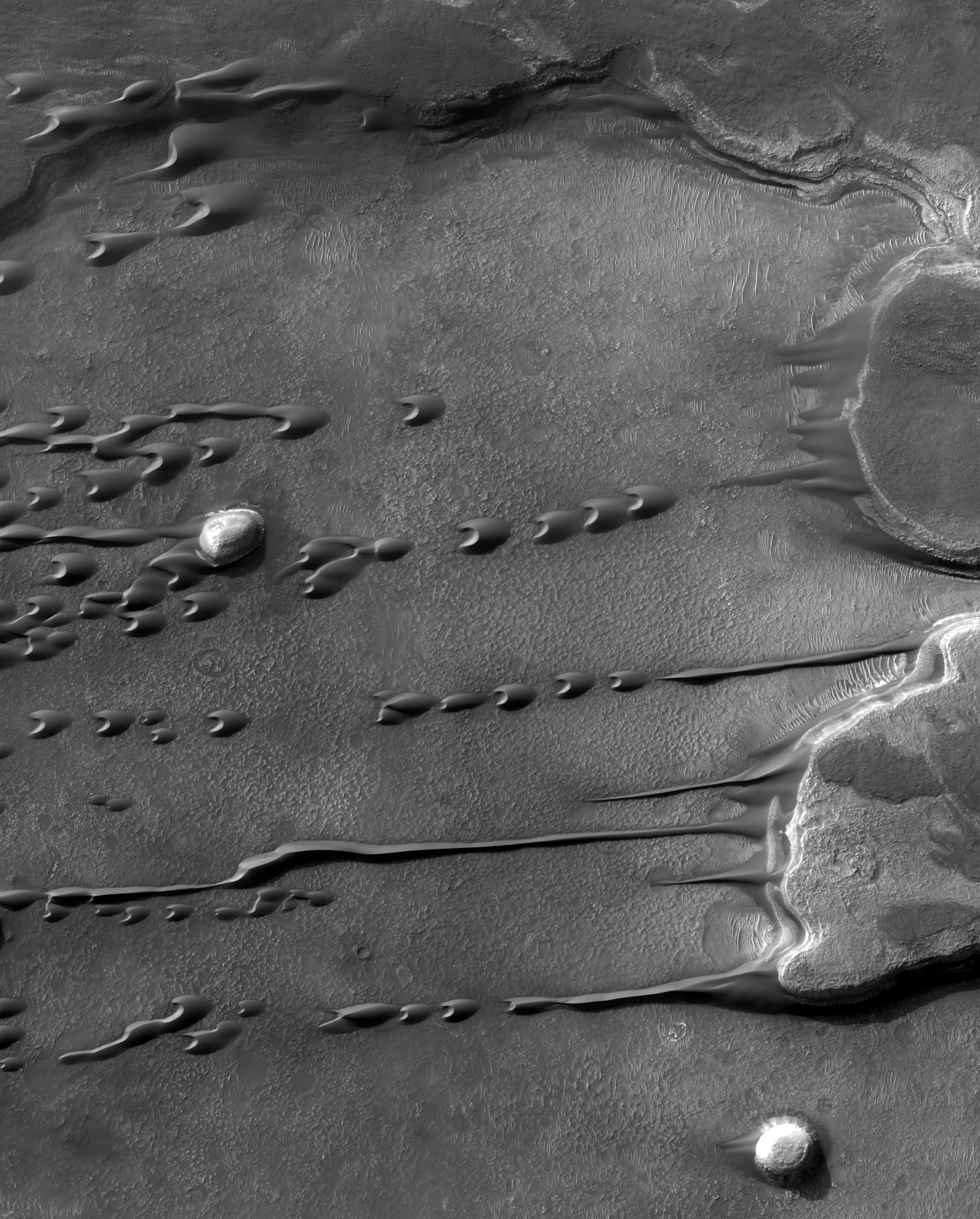 Flowing Barchan Sand Dunes on Mars