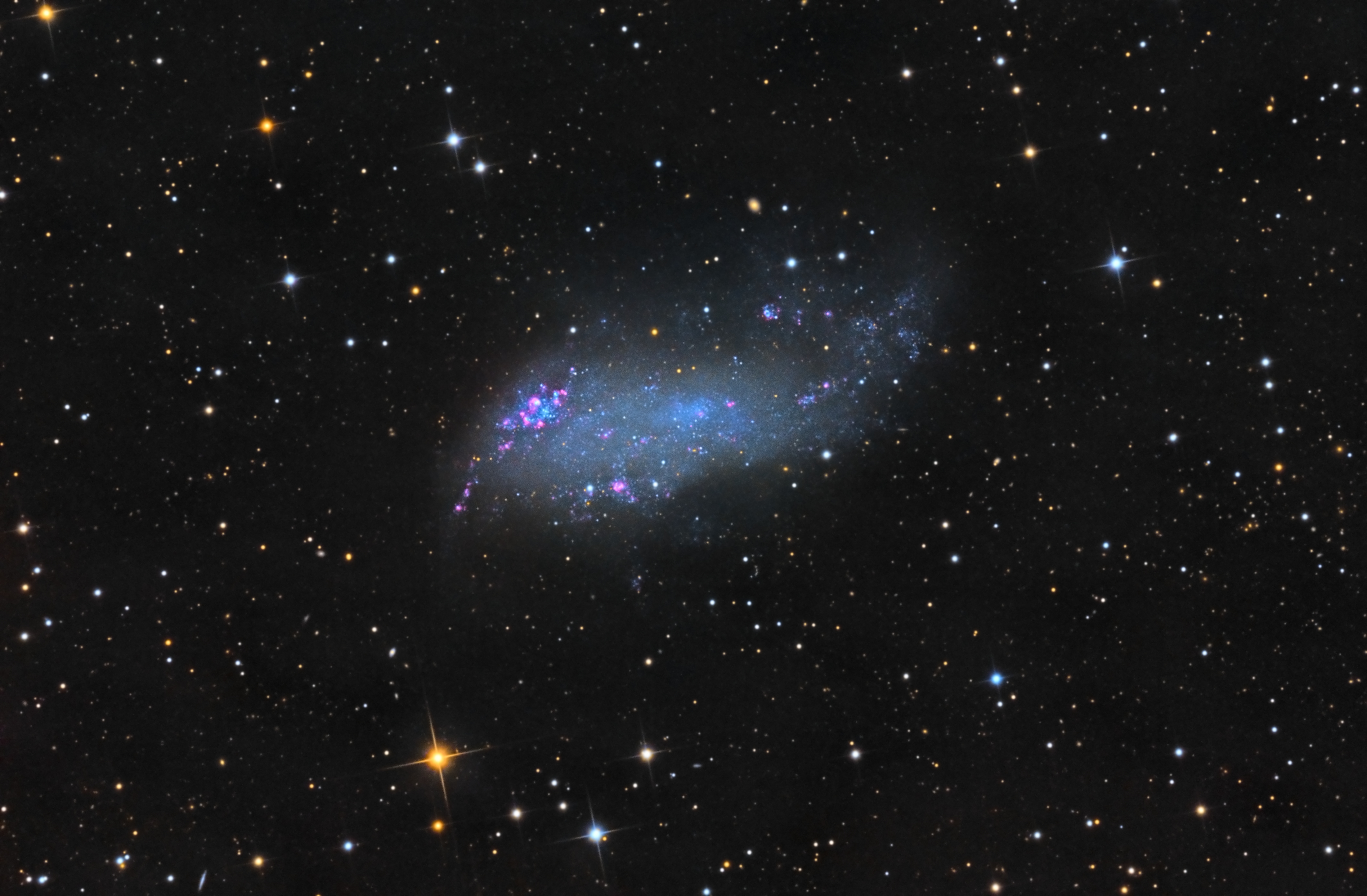 IC 2574: Coddington's Nebula