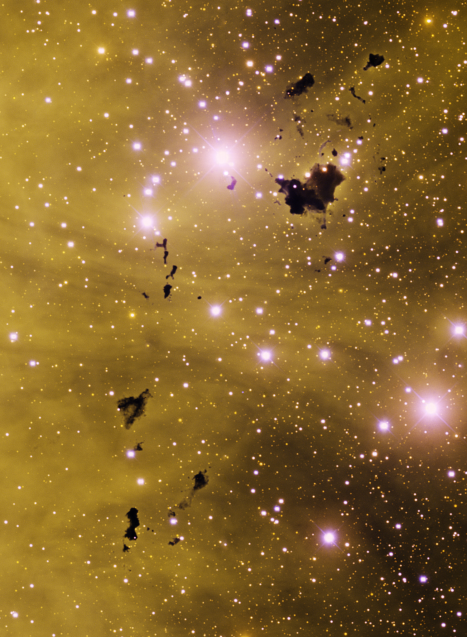 Thackeray's Globules