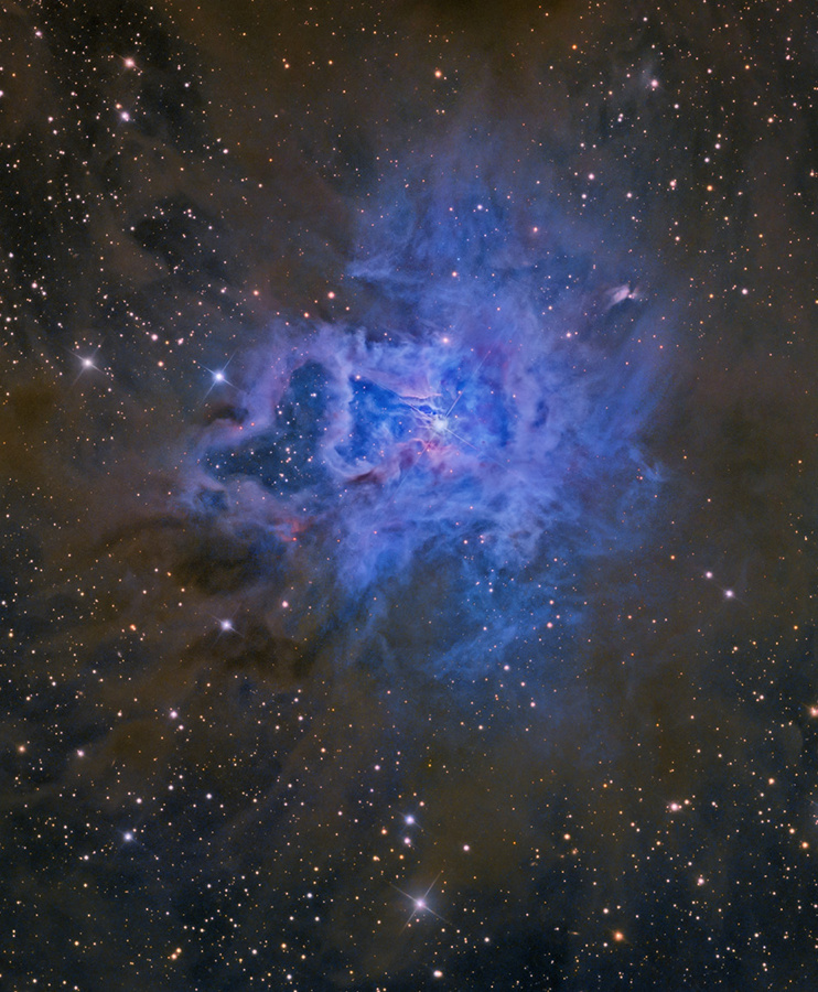 NGC 7023: The Iris Nebula