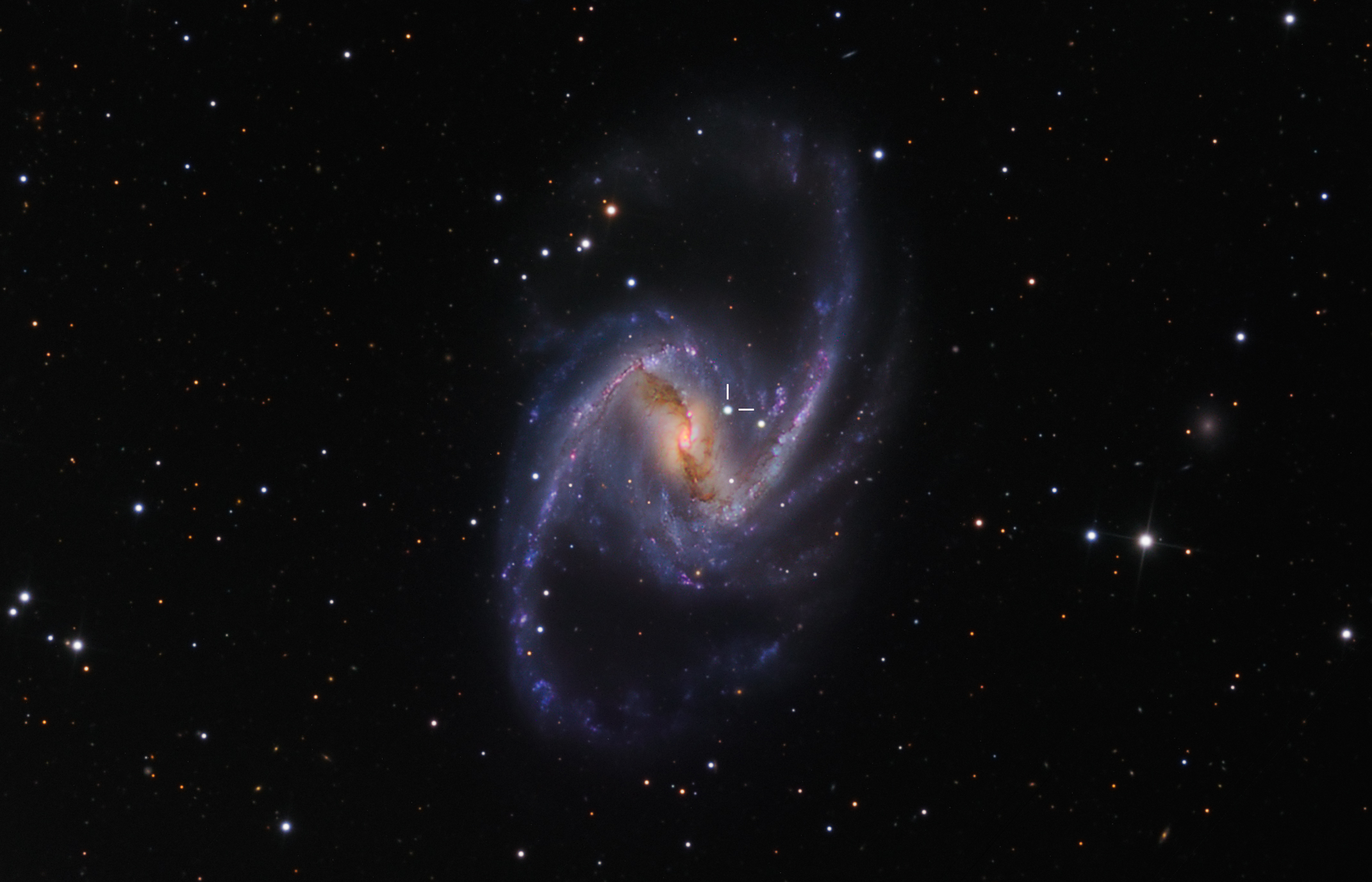 NGC 1365: Majestic Spiral with Supernova