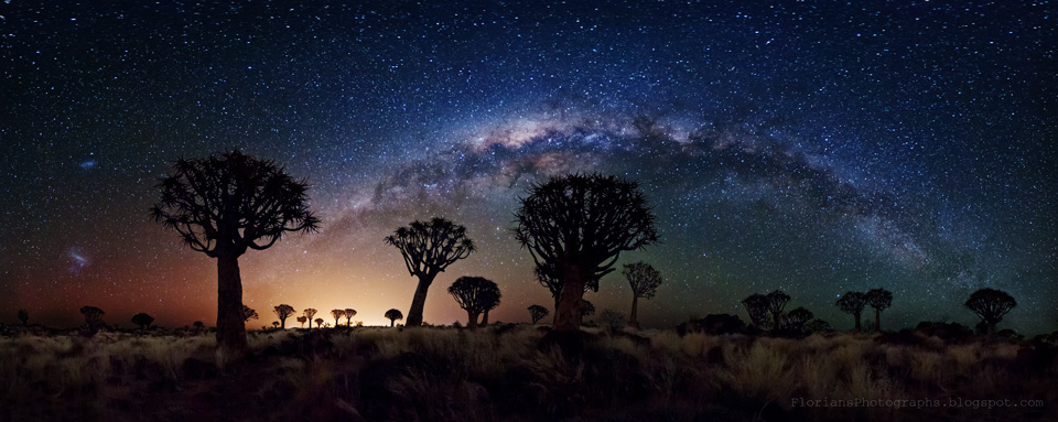 Milky Way Over Quiver Tree Forest