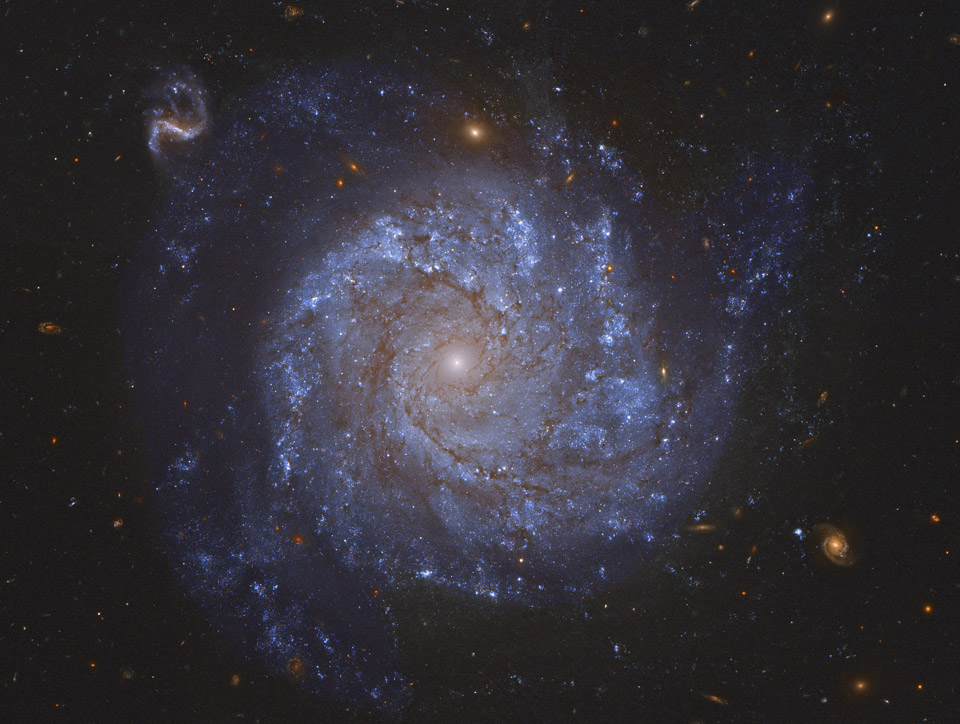 NGC 1309: Spiral Galaxy and Friends
