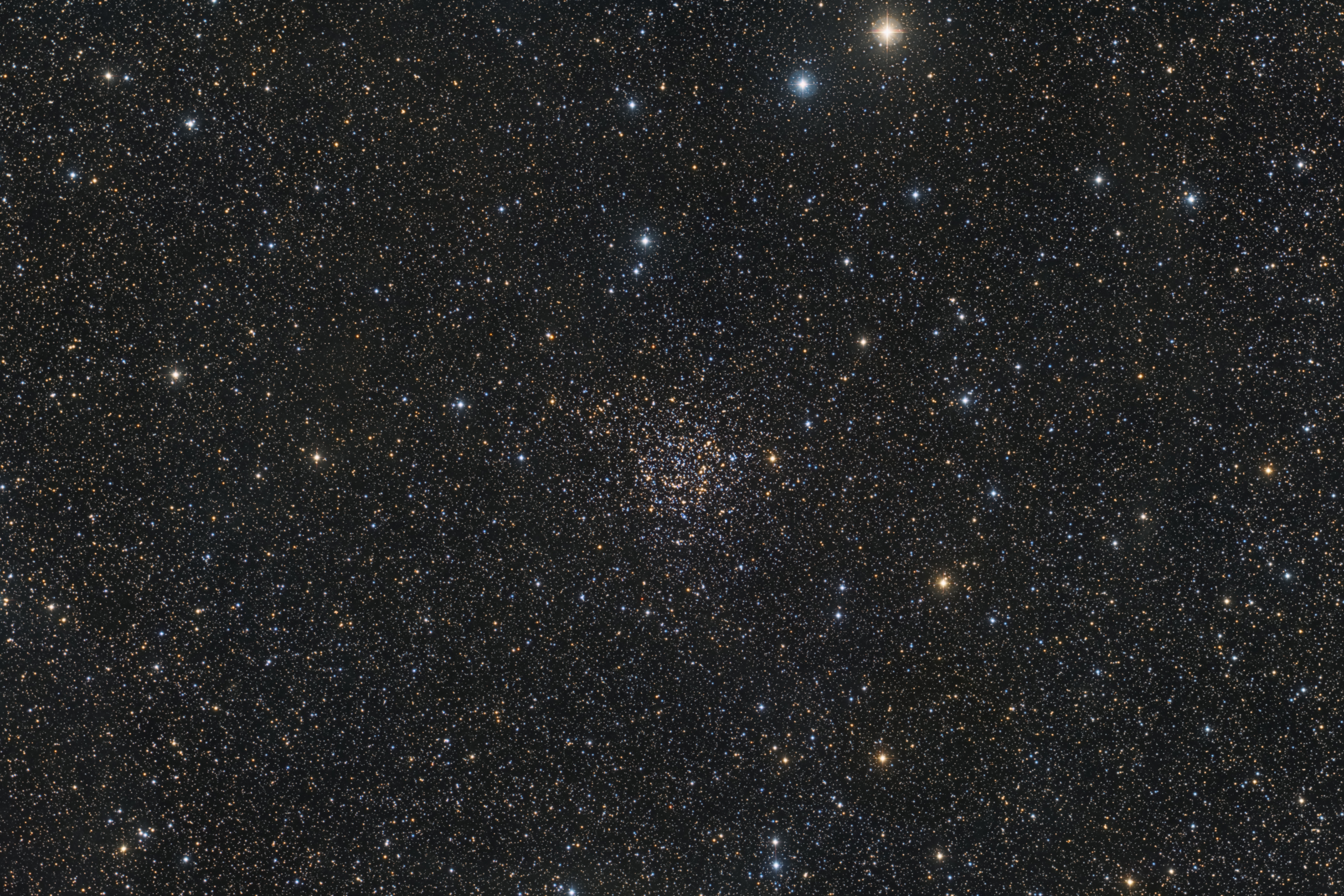 NGC 7789: Caroline's Rose