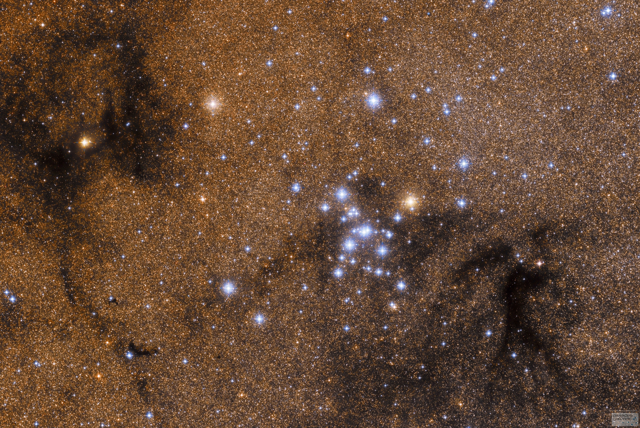 M7: Open Star Cluster in Scorpius