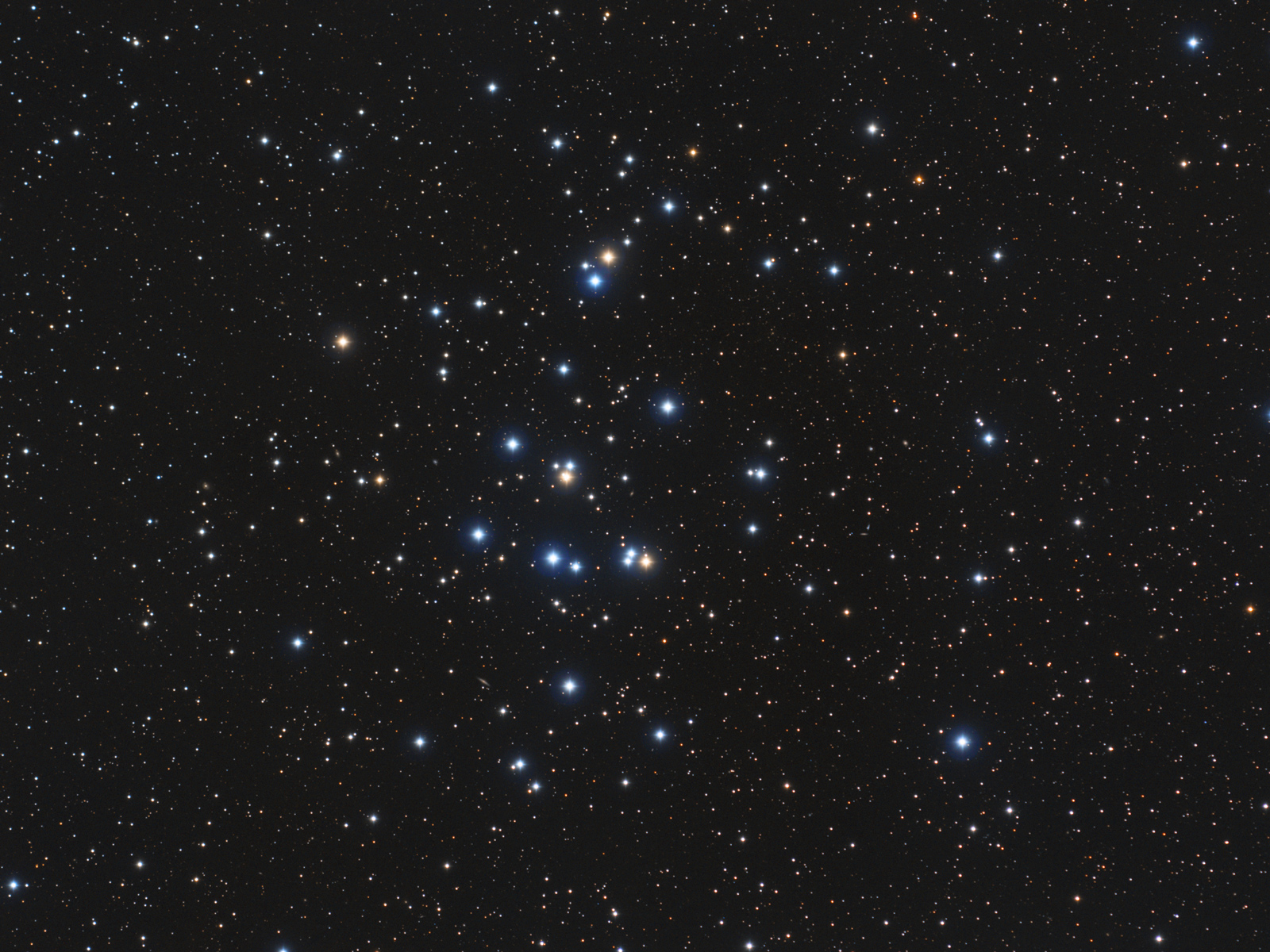 M44: The Beehive Cluster