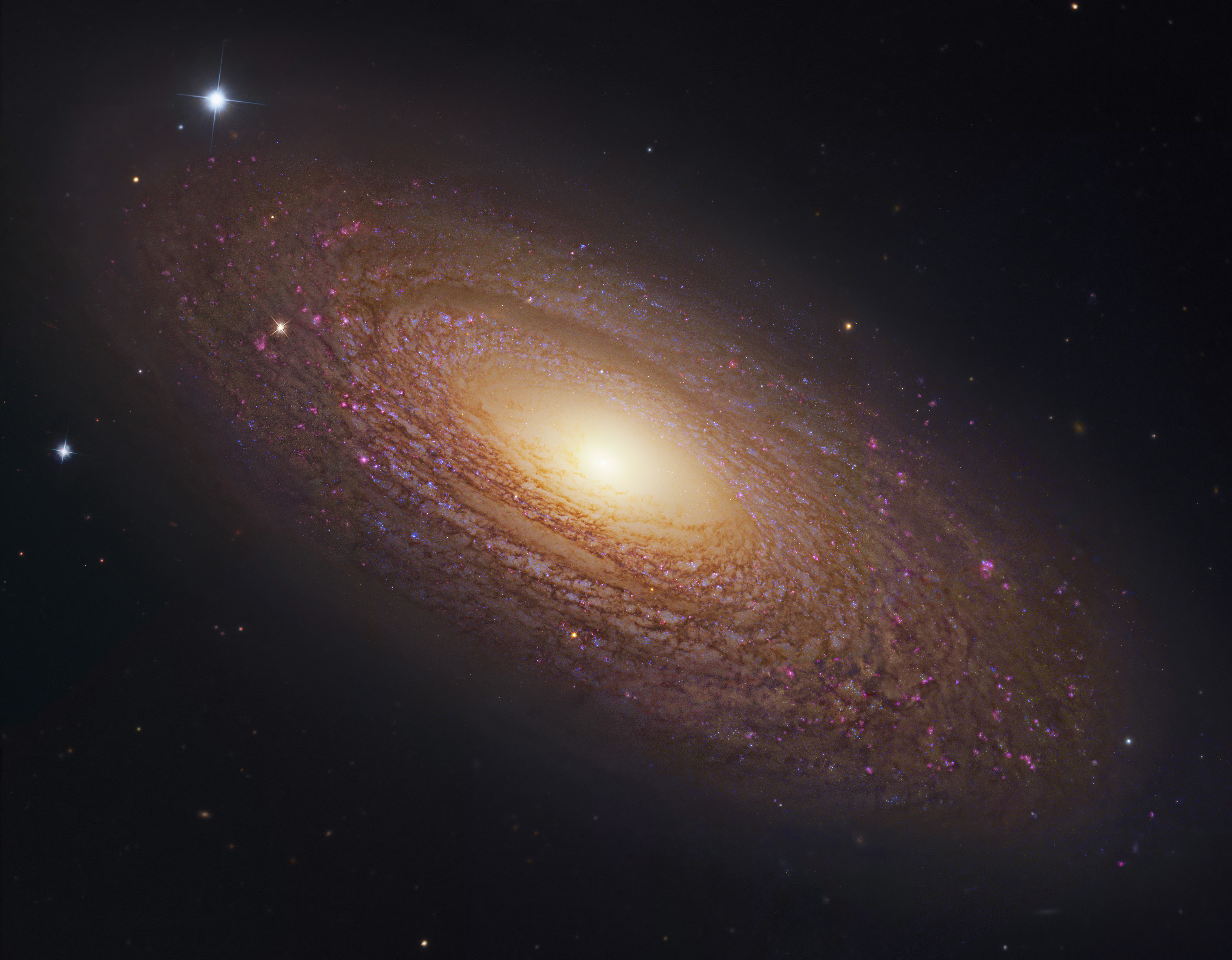 Massive Nearby Spiral Galaxy NGC 2841