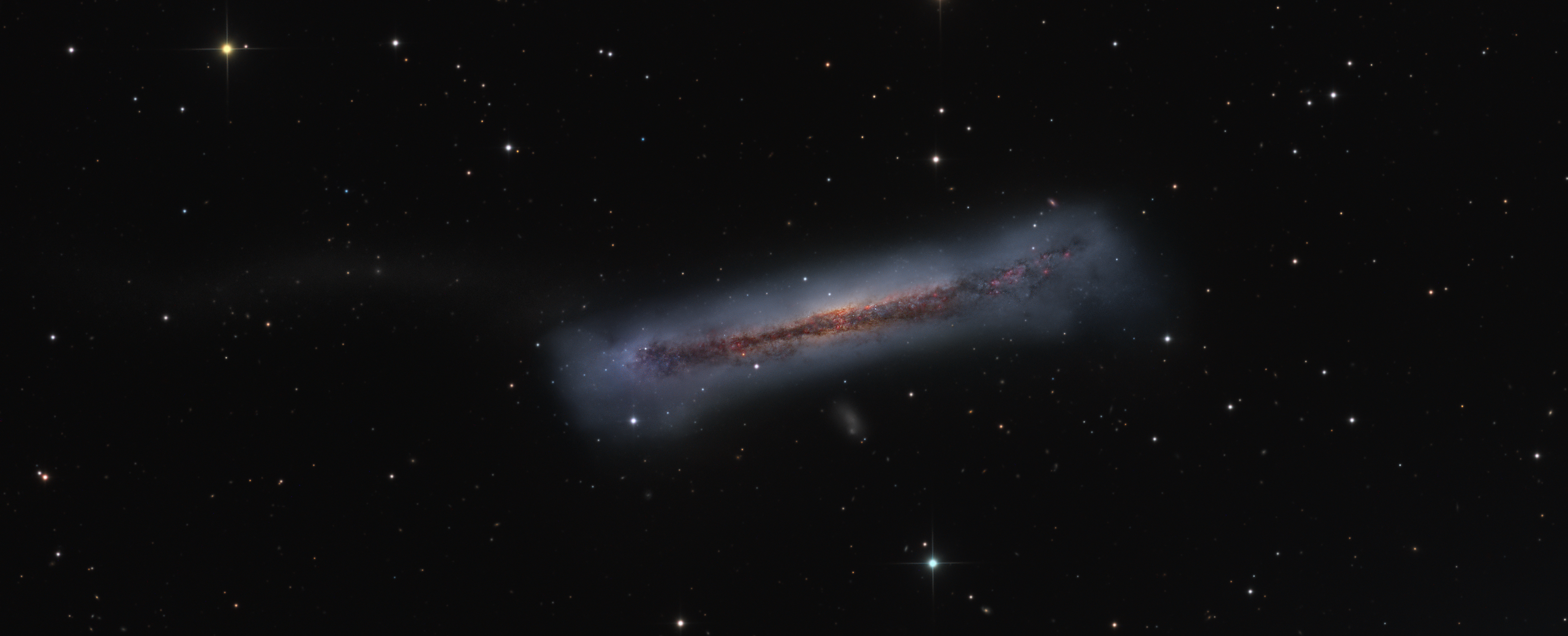 The Tail of the Hamburger Galaxy