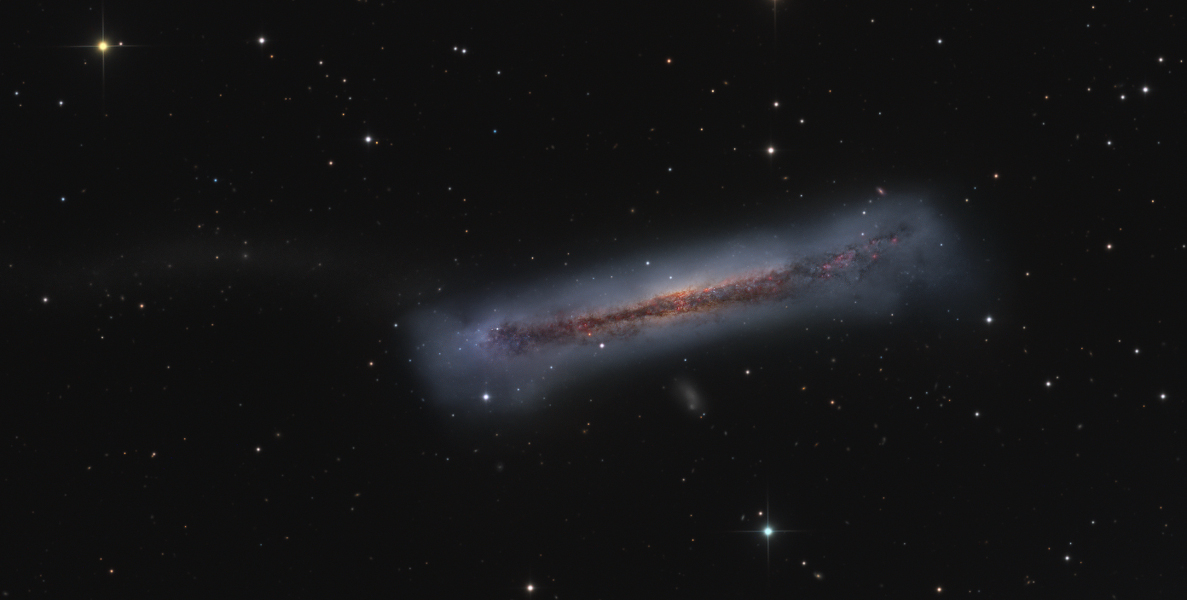 The Tail of the Hamburger Galaxy