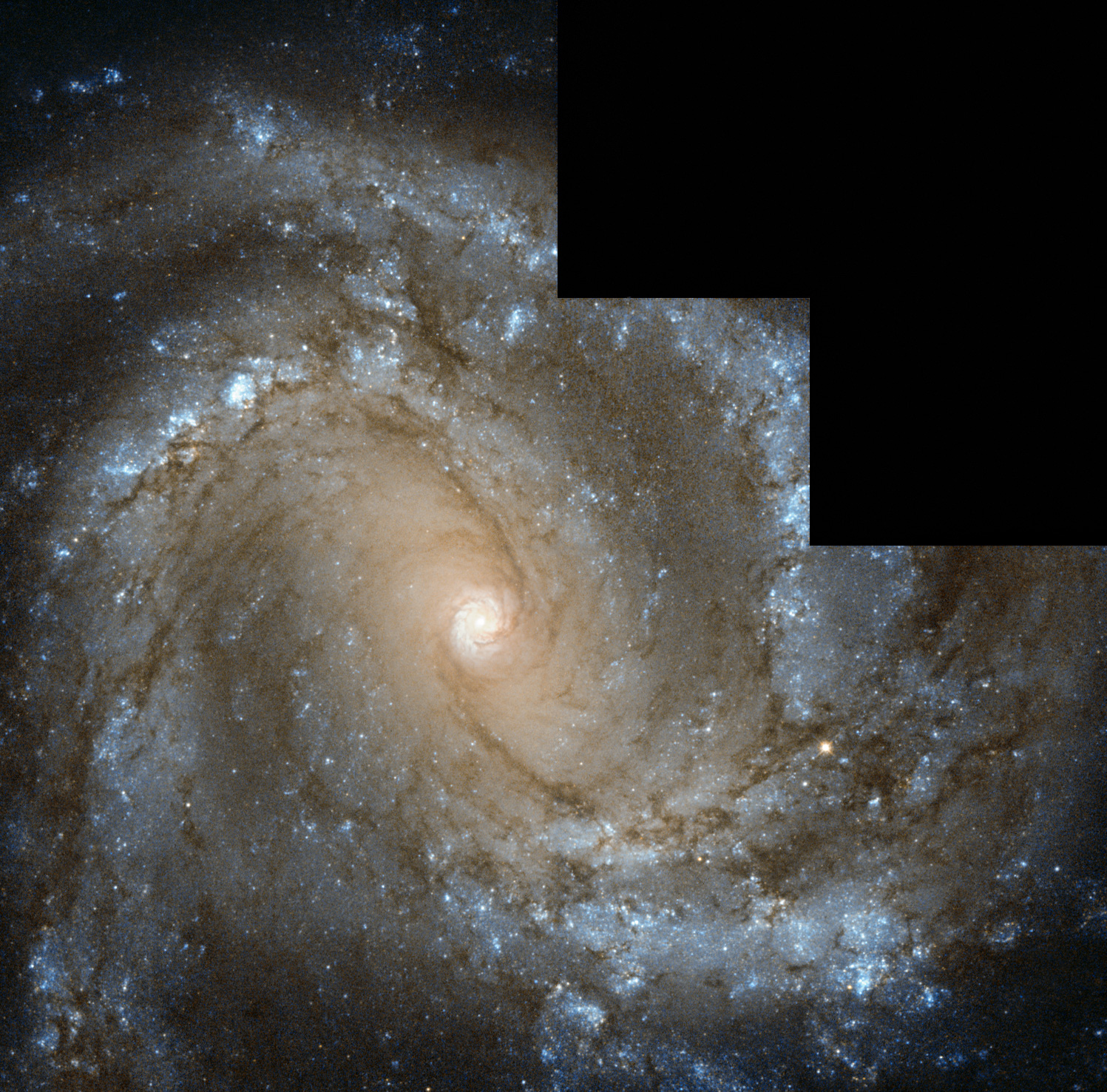 In the Center of Spiral Galaxy M61