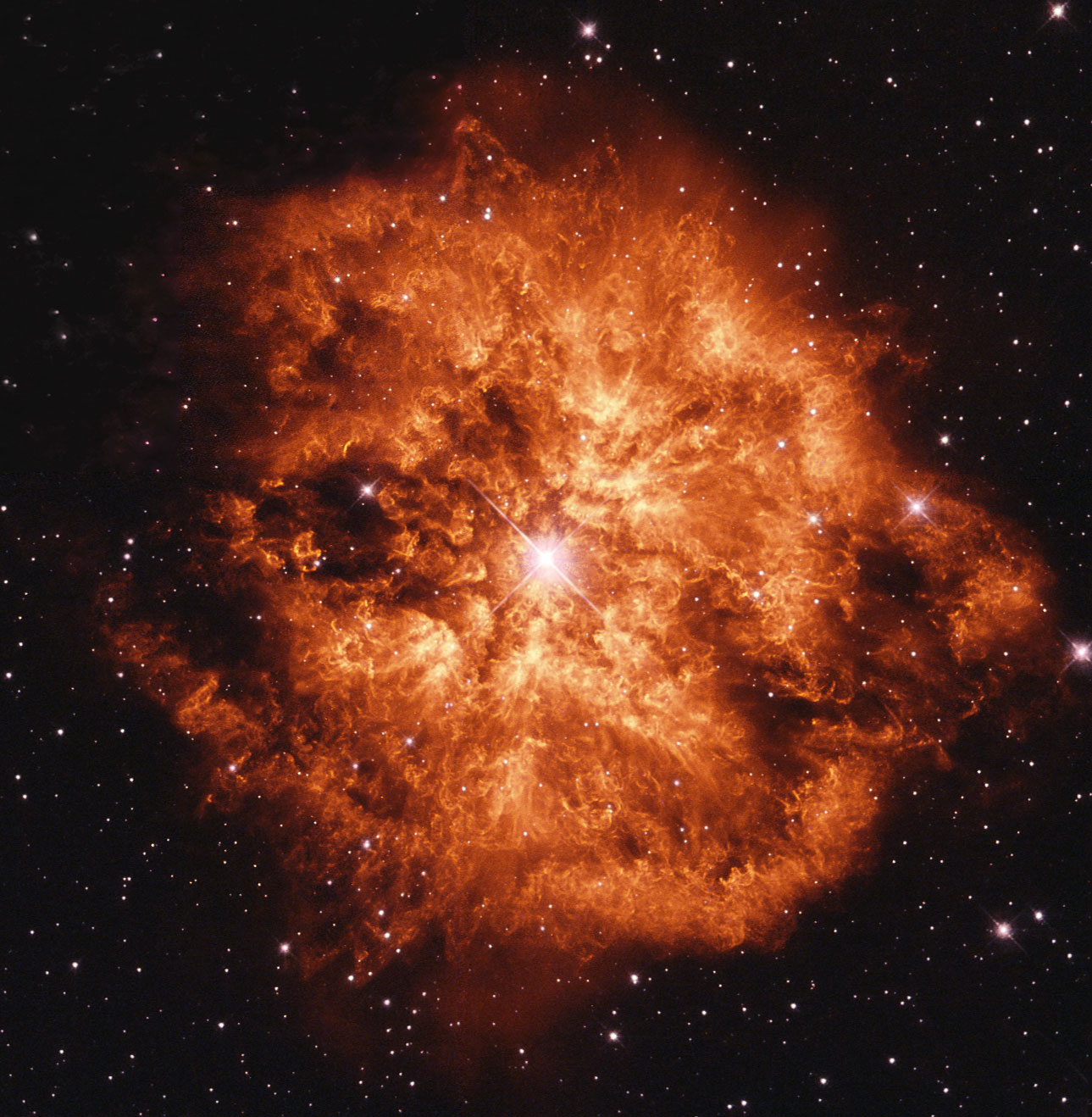 Wolf-Rayet Star 124: Stellar Wind Machine