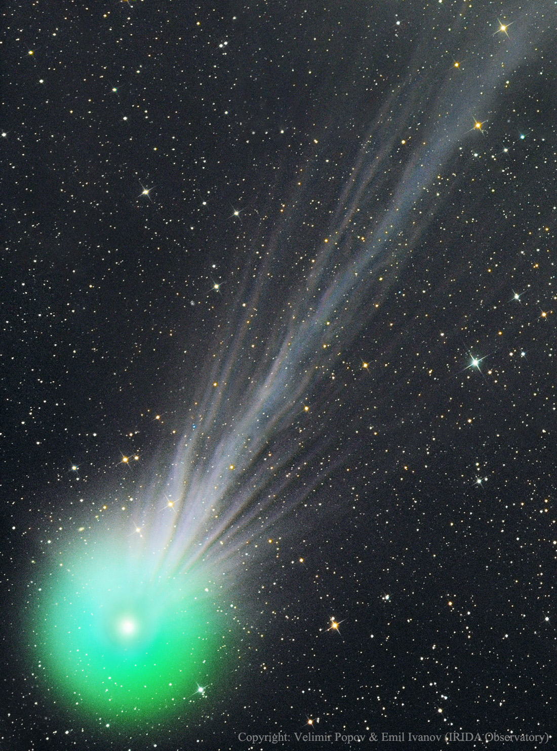 The Complex Ion Tail of Comet Lovejoy