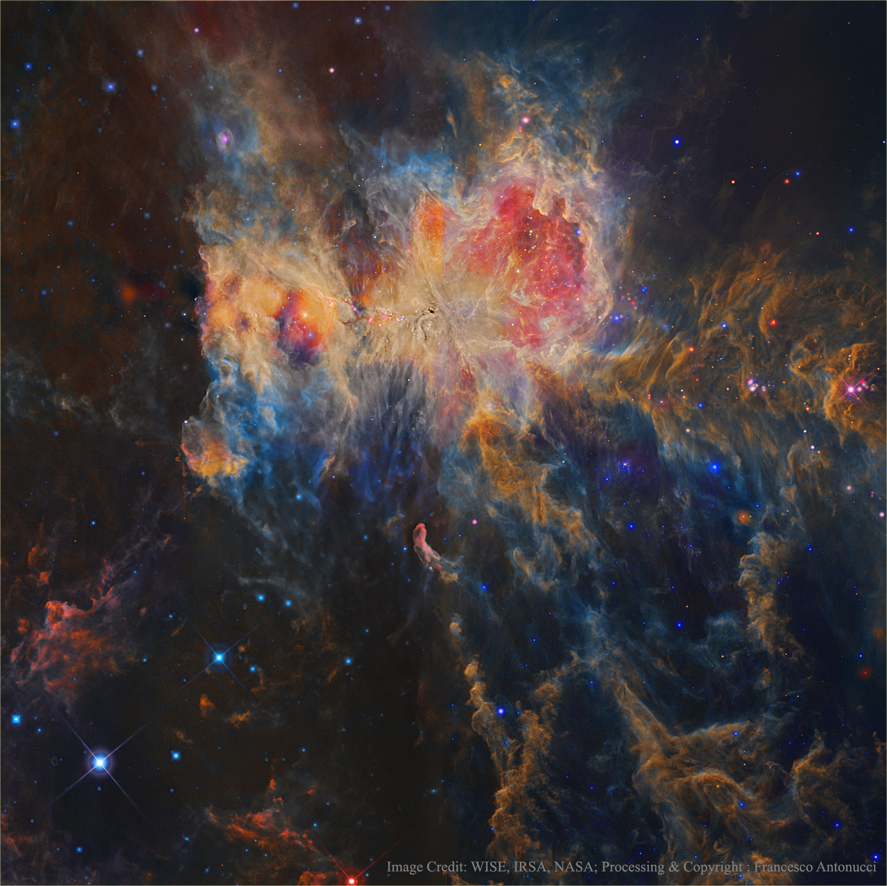 Infrared Orion from WISE
