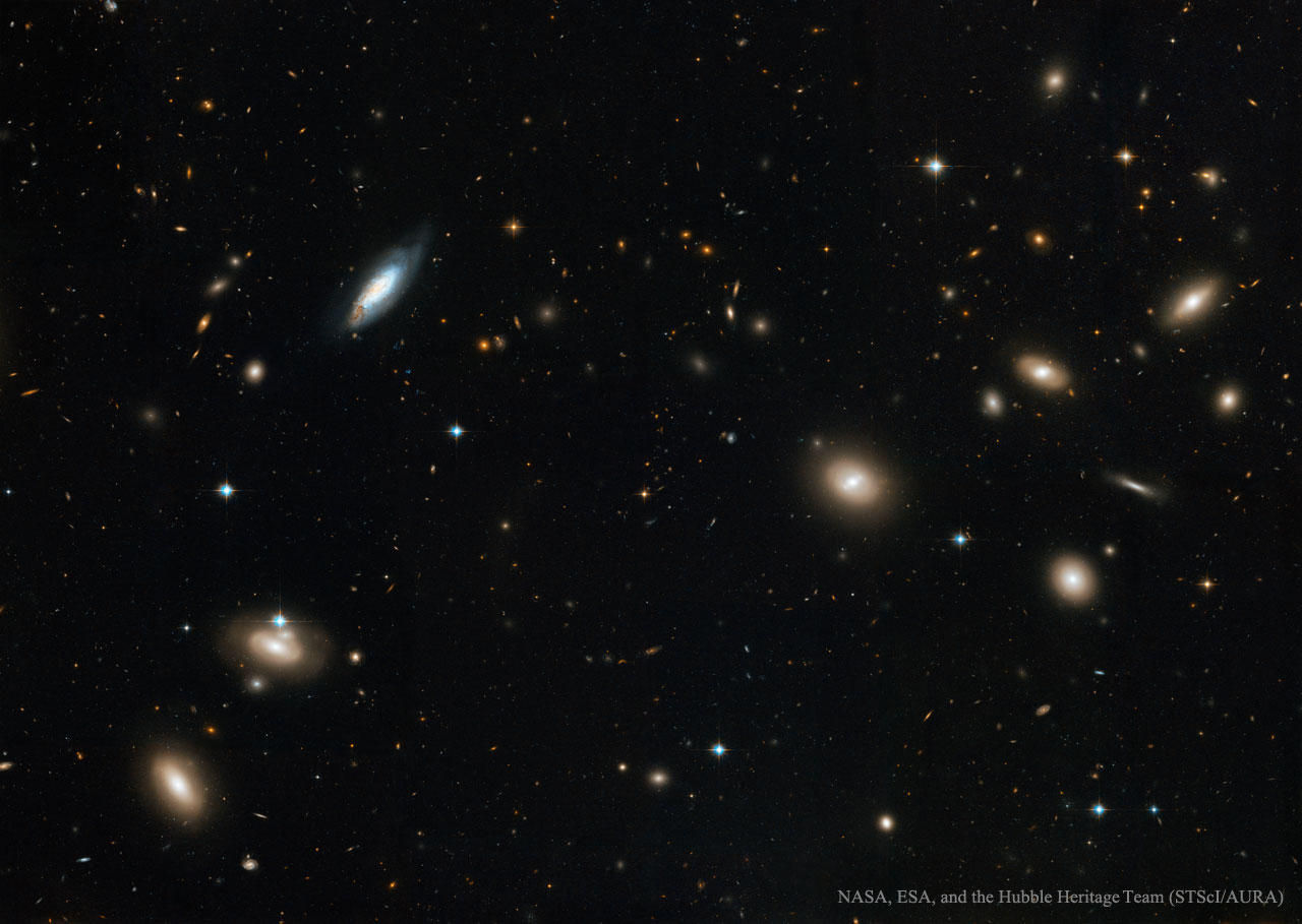 Inside the Coma Cluster of Galaxies
