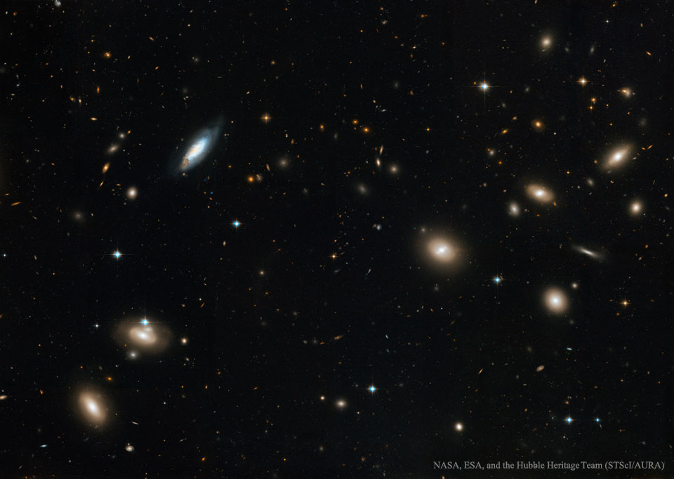 Inside the Coma Cluster of Galaxies