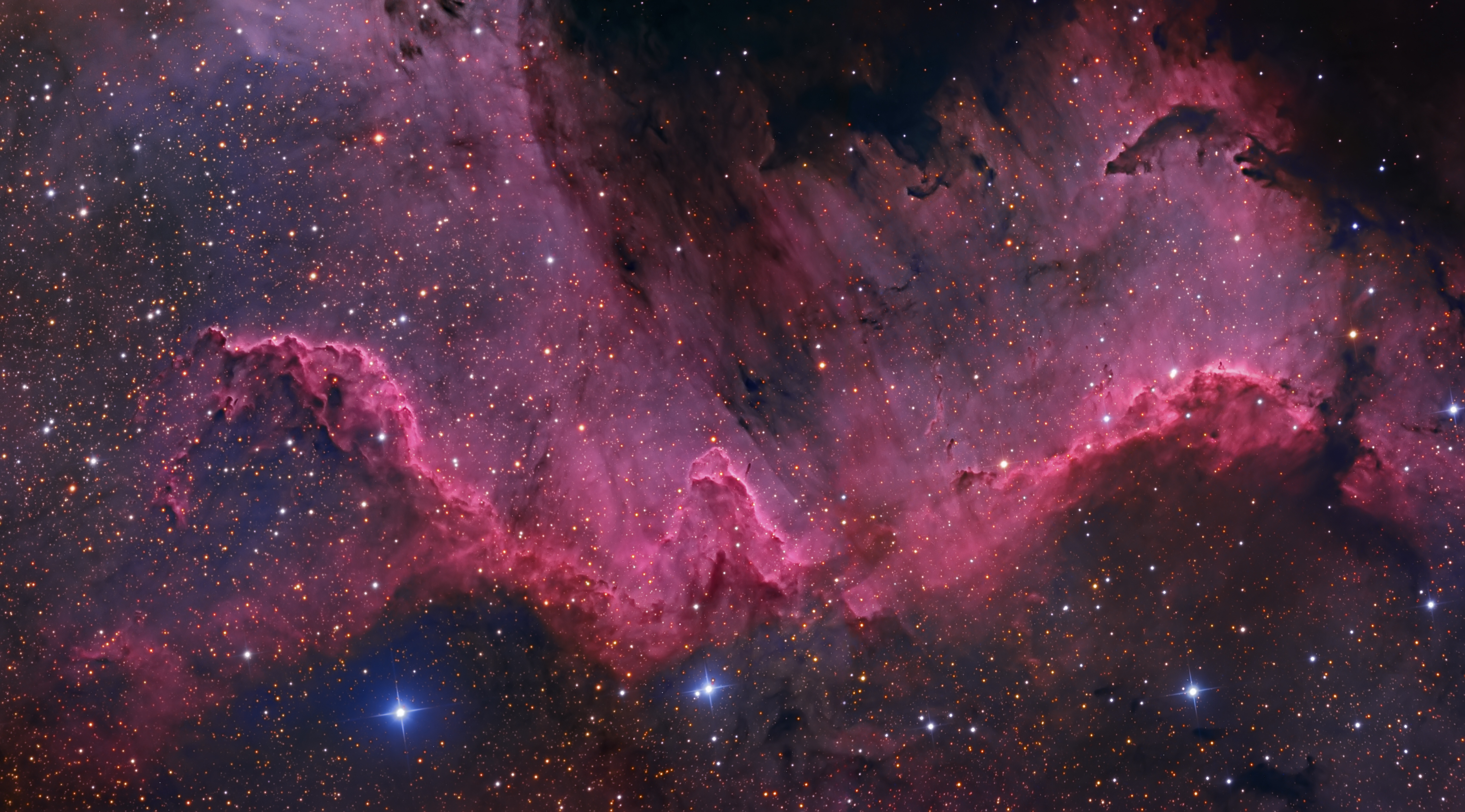 Along the Cygnus Wall