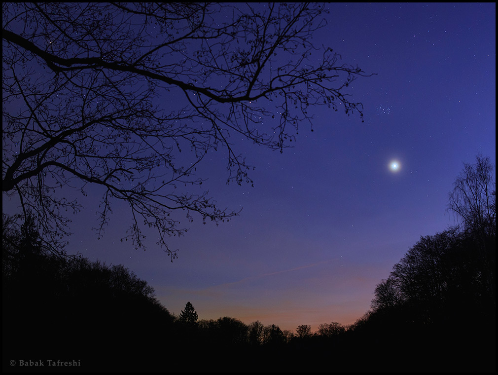 Venus in the West