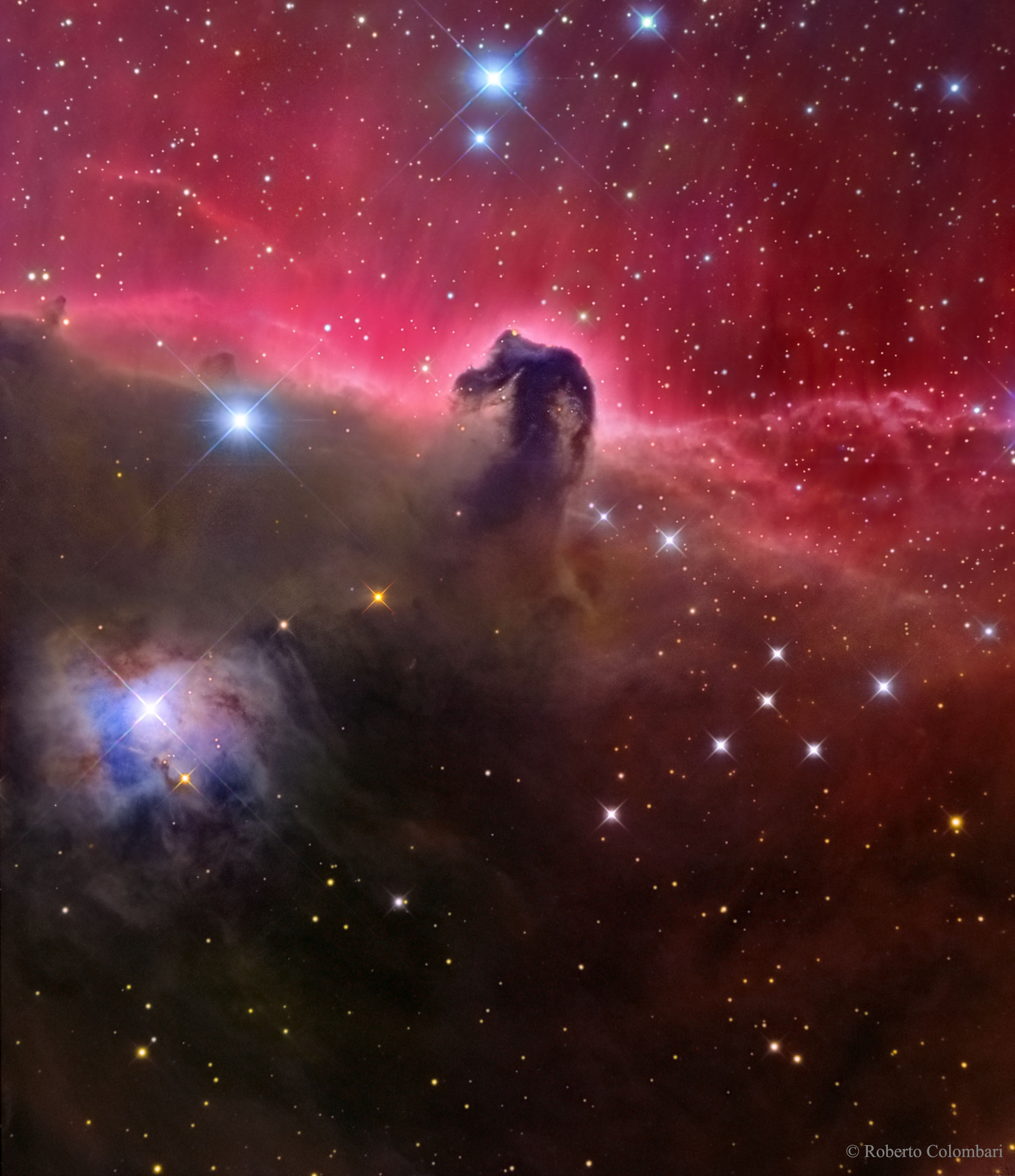 The Magnificent Horsehead Nebula