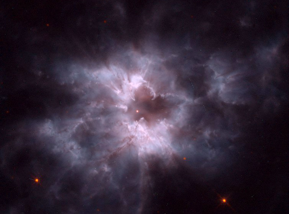 NGC 2440: Pearl of a New White Dwarf