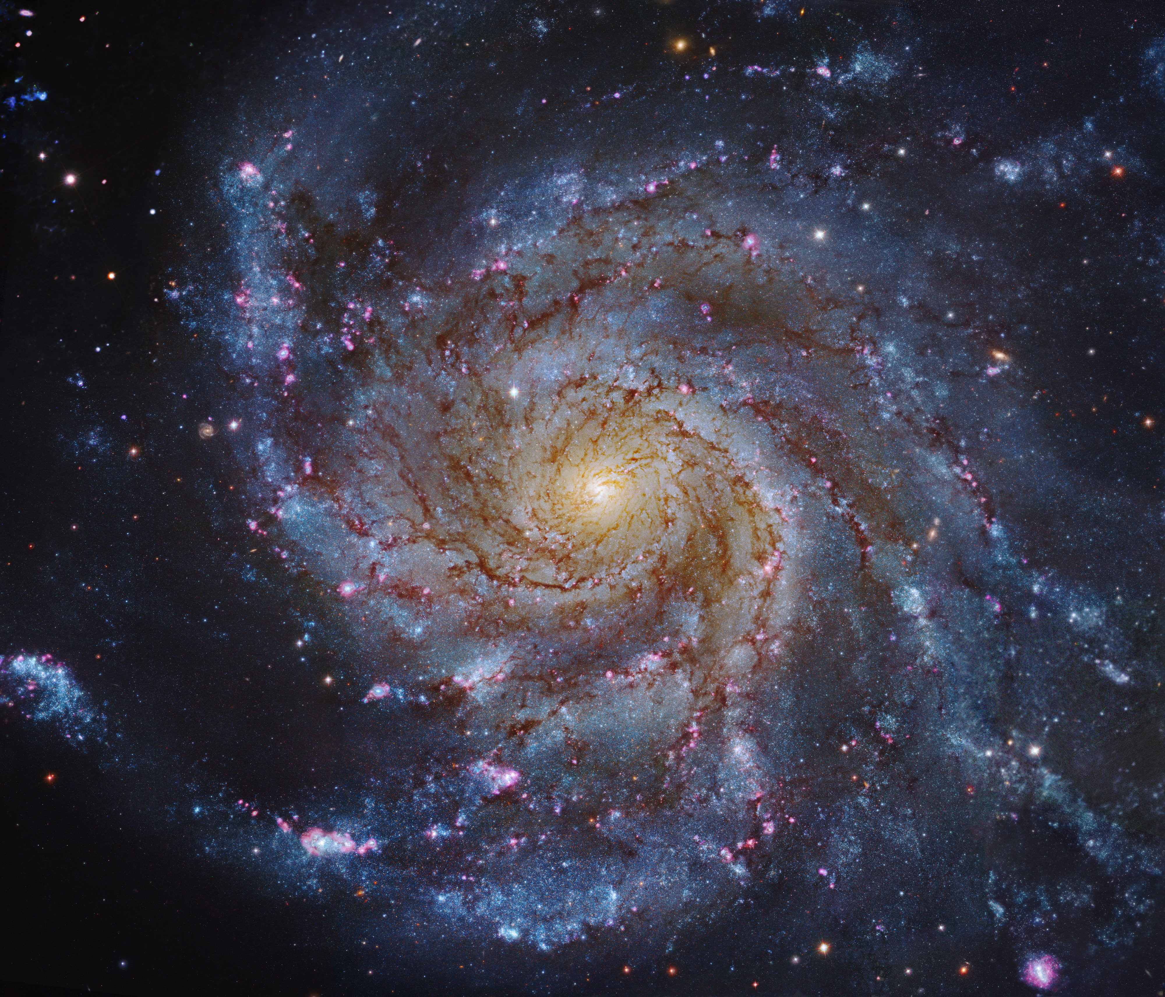 M101: The Pinwheel Galaxy