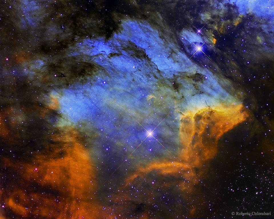 The Pelican Nebula in Gas, Dust, and Stars