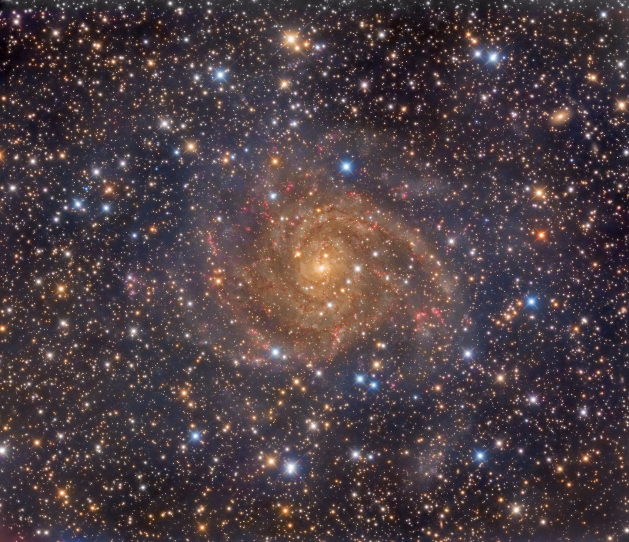 Hidden Galaxy IC 342