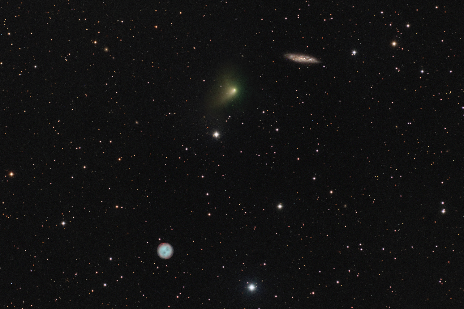 The Comet, the Owl, and the Galaxy