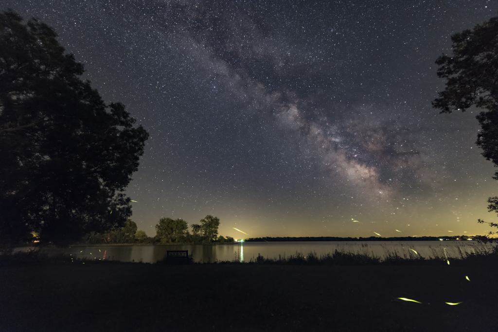 Firefly Trails and the Summer Milky Way