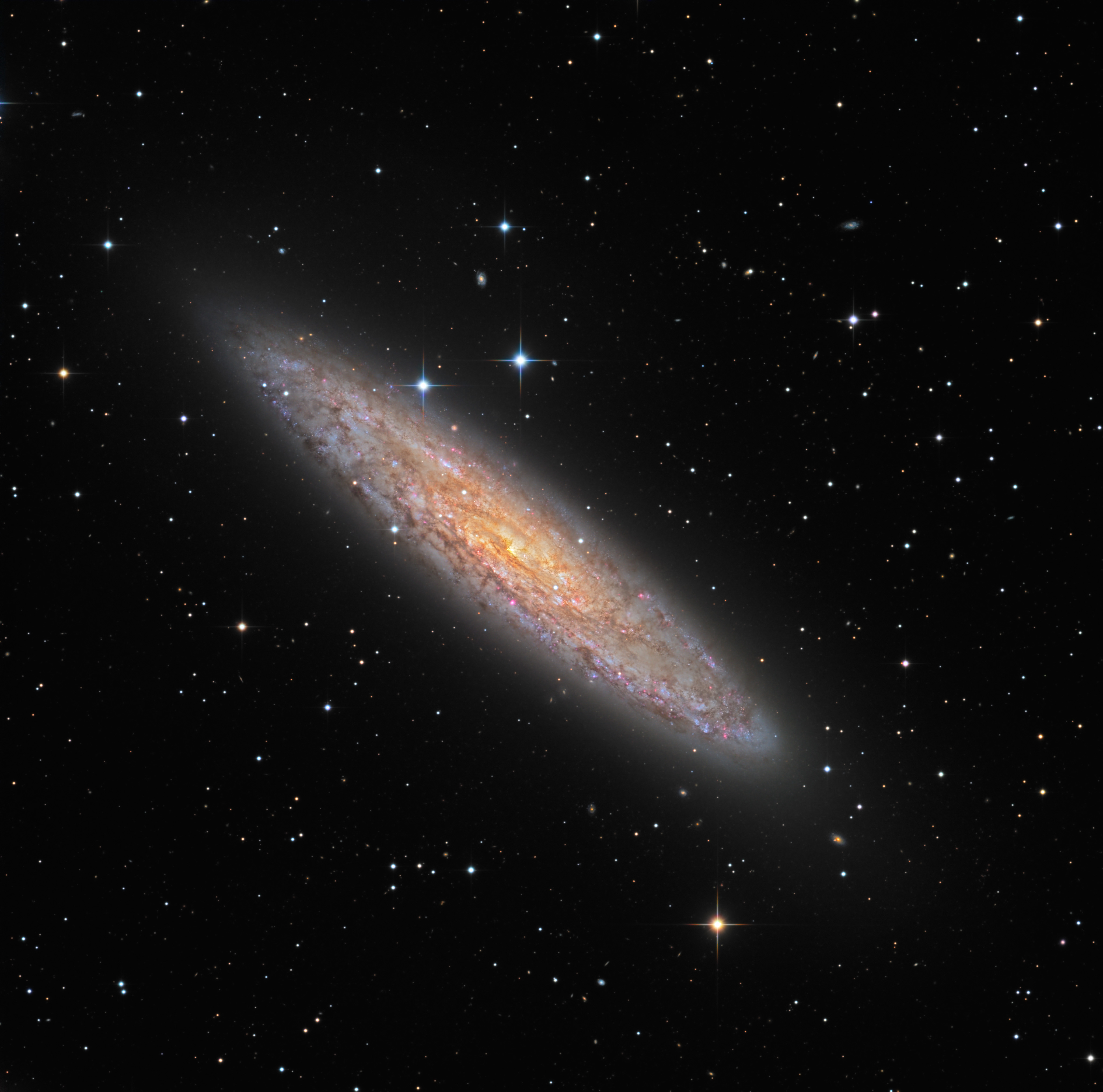 NGC 253: Dusty Island Universe