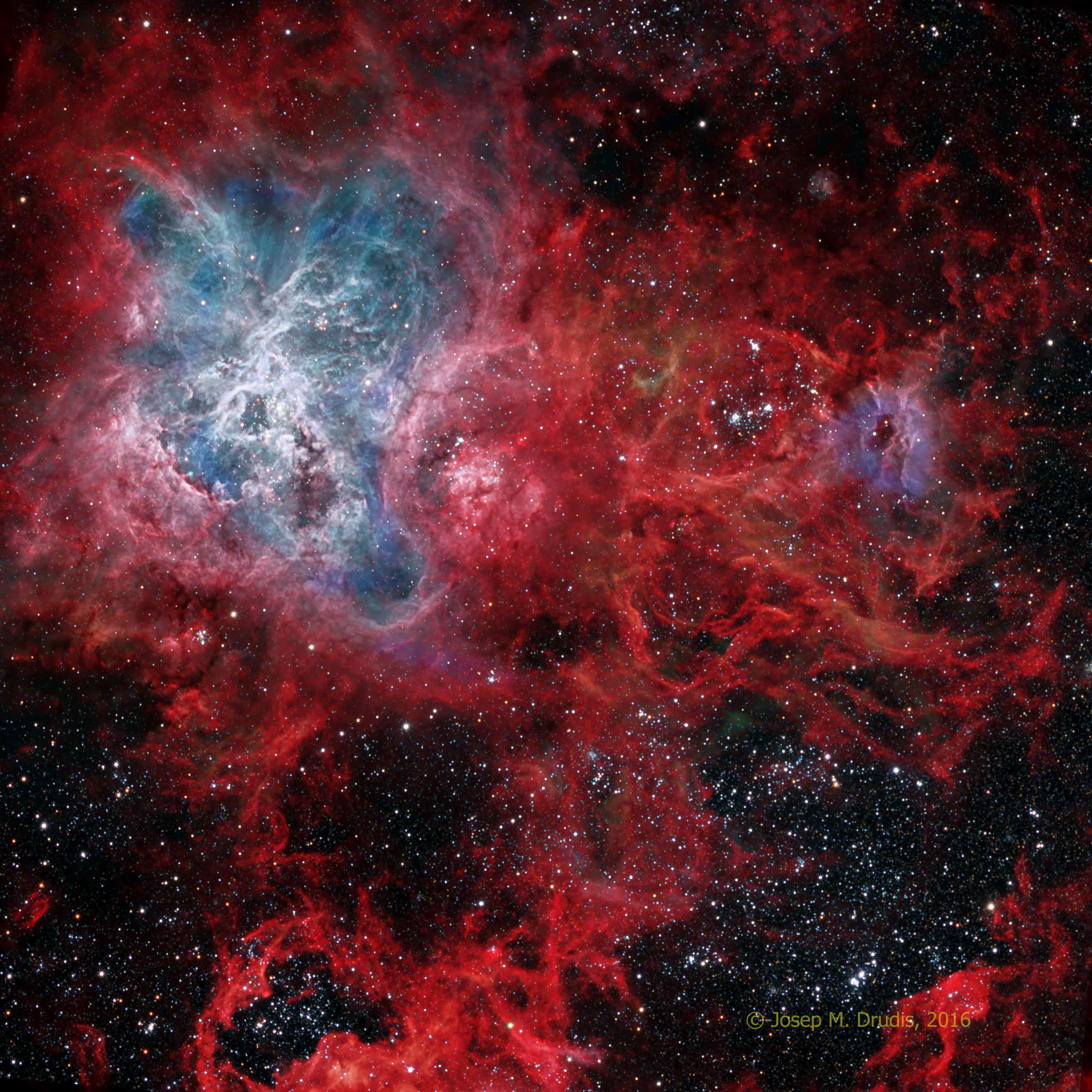 The Cosmic Web of the Tarantula Nebula
