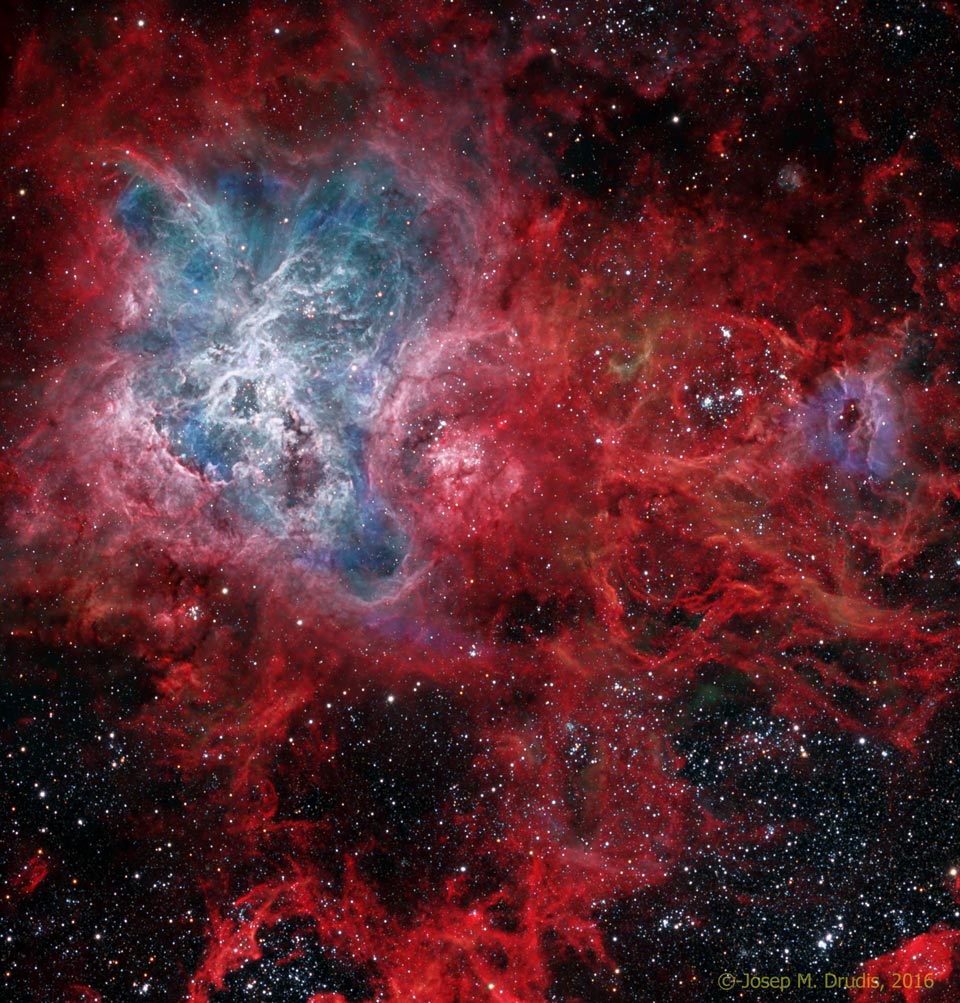 The Cosmic Web of the Tarantula Nebula