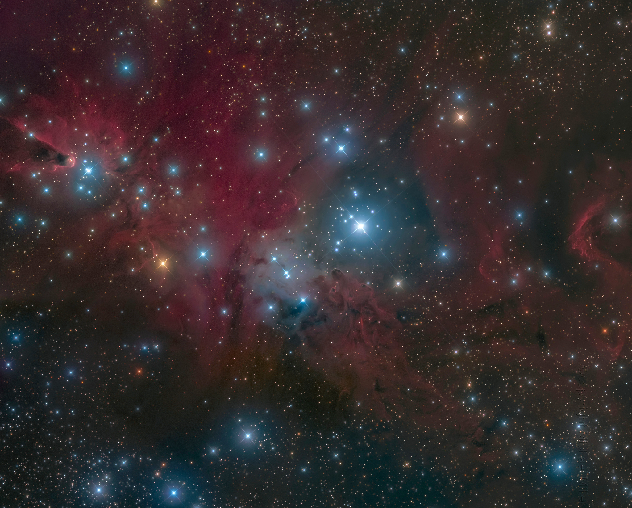 Fox Fur, Unicorn, and Christmas Tree