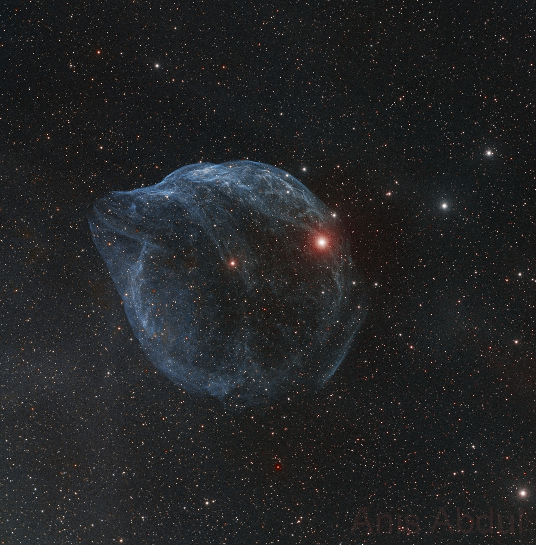 Sharpless 308: Star Bubble