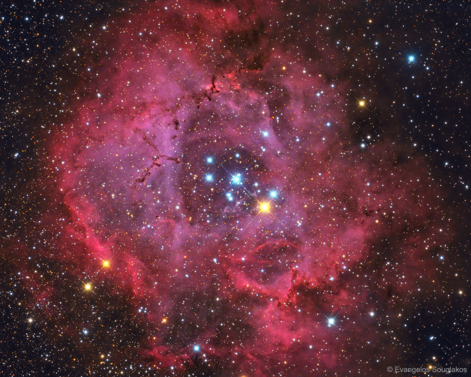 The Rosette Nebula