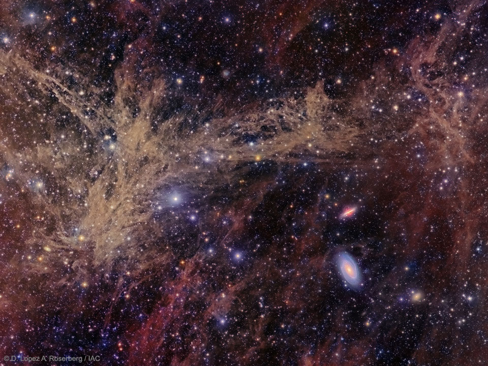 The M81 Galaxy Group through the Integrated Flux Nebula