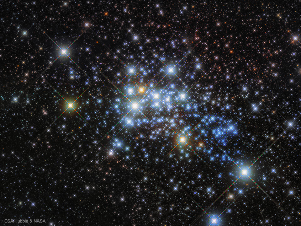 The Massive Stars in Westerlund 1