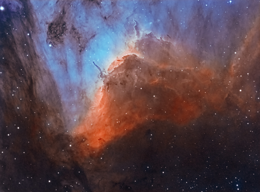 Pelican Nebula Close-up