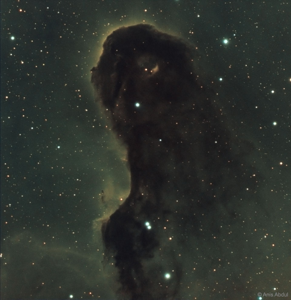 The Dust Monster in IC 1396