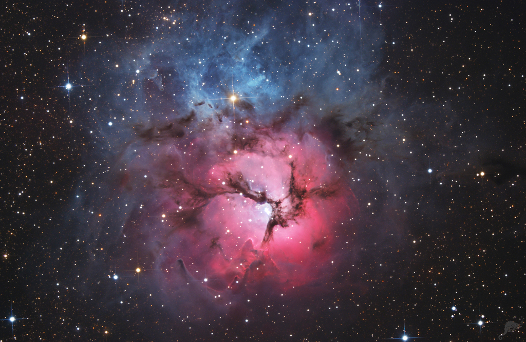 A Beautiful Trifid