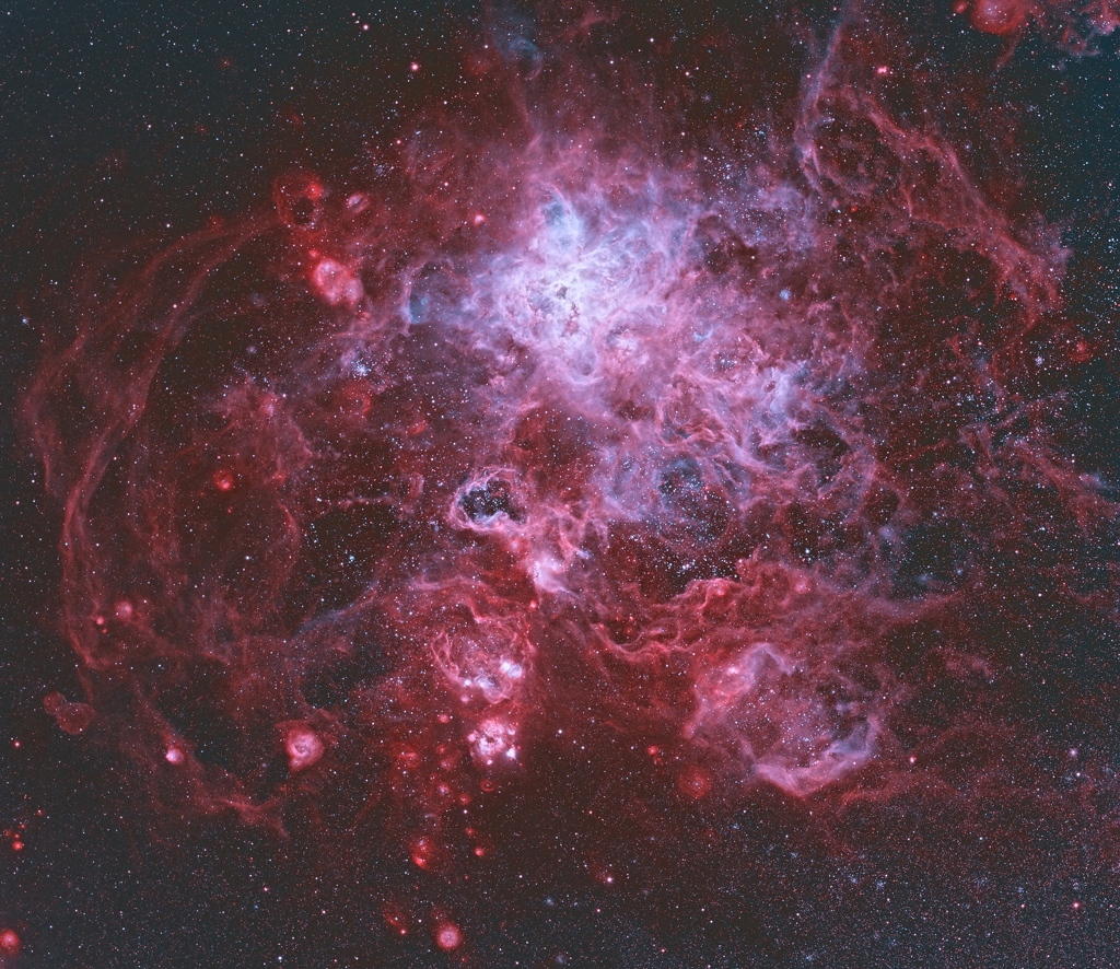 The Tarantula Nebula