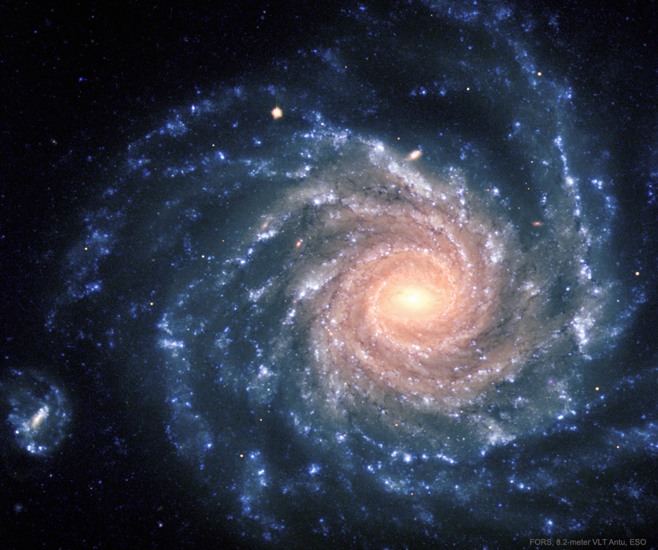 Grand Spiral Galaxy NGC 1232
