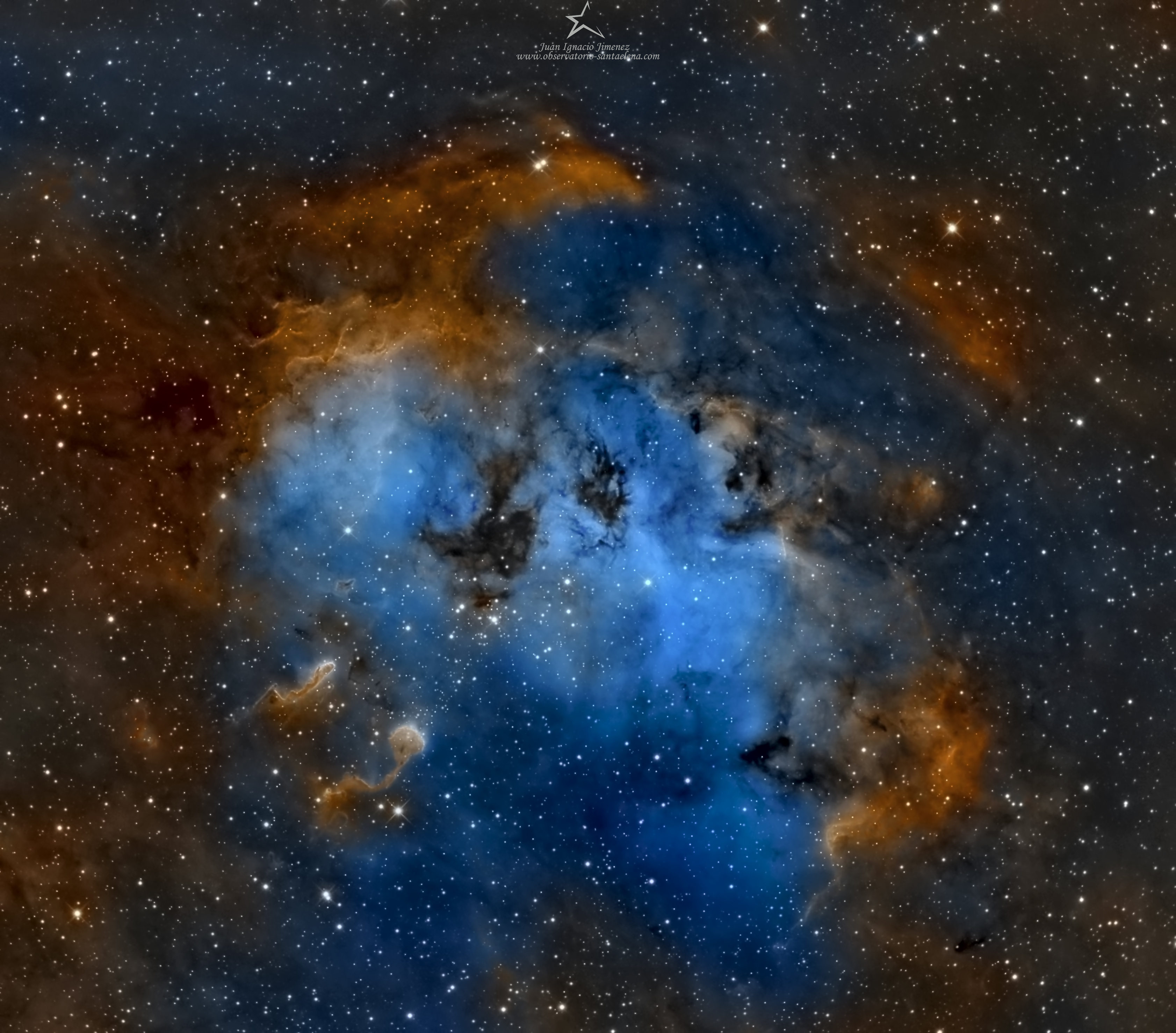 The Tadpoles of IC 410