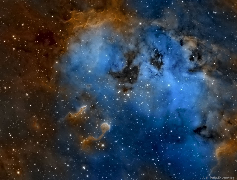 The Tadpoles of IC 410