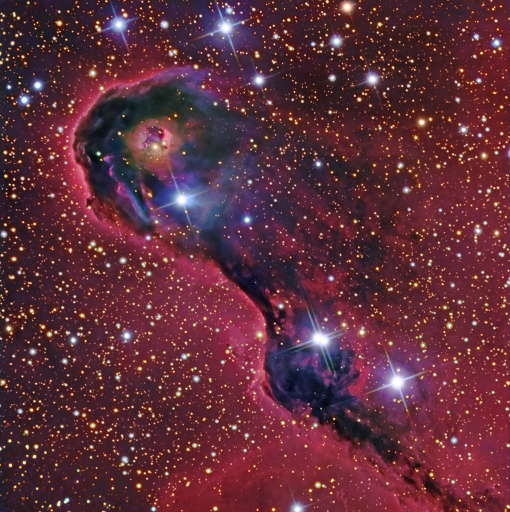 An Elephant's Trunk in Cepheus